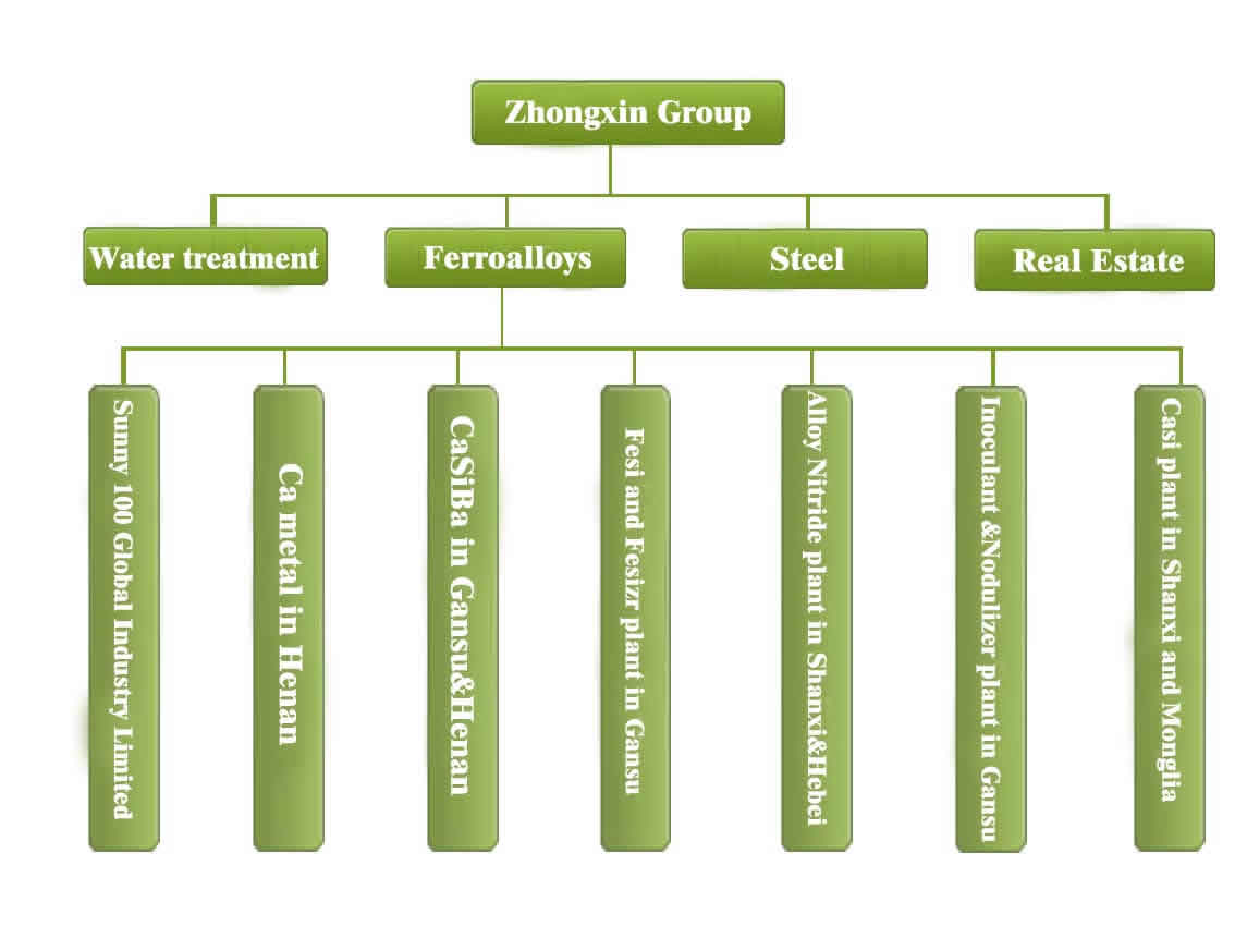 orgnization of Zhongxin group